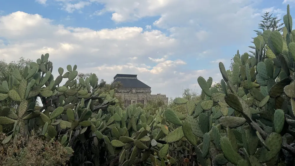 The stone Anahuacalli museum beyond a dense garden of cacti and trees.