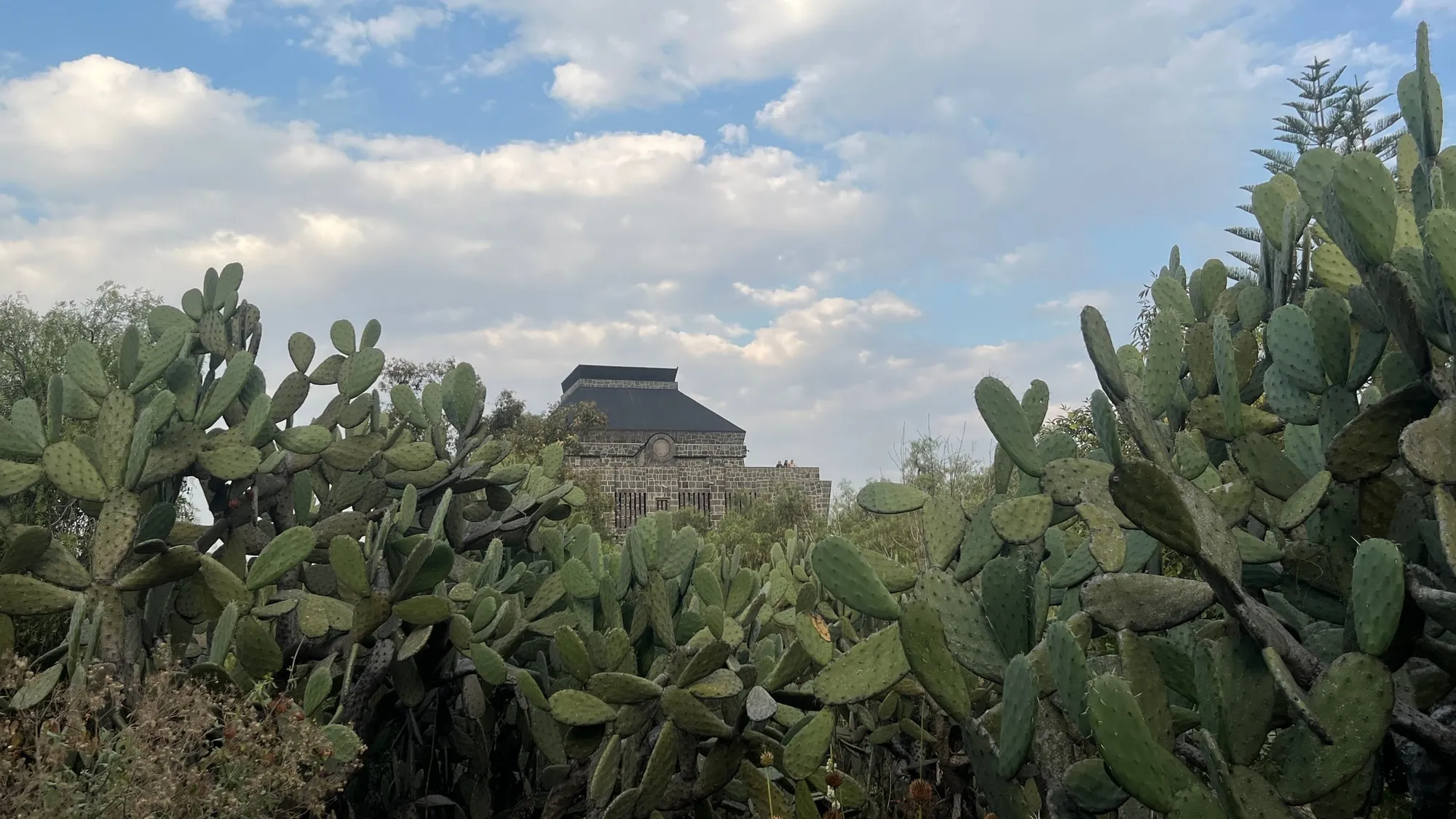 The stone Anahuacalli museum beyond a dense garden of cacti and trees.