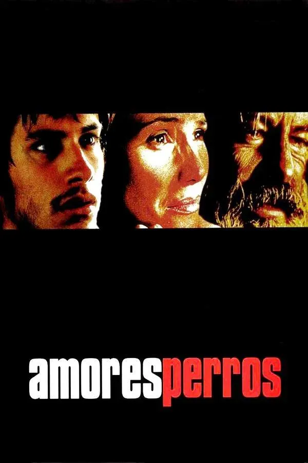 Amores Perros poster