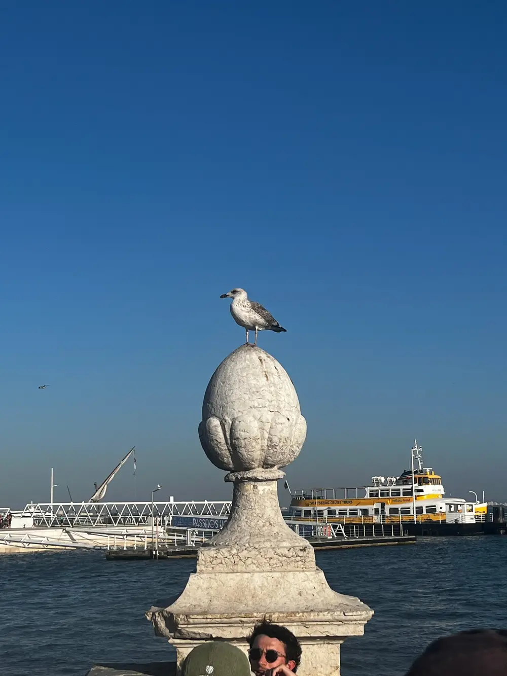 A seagull perched on a carved stone finial beside the waterfront.