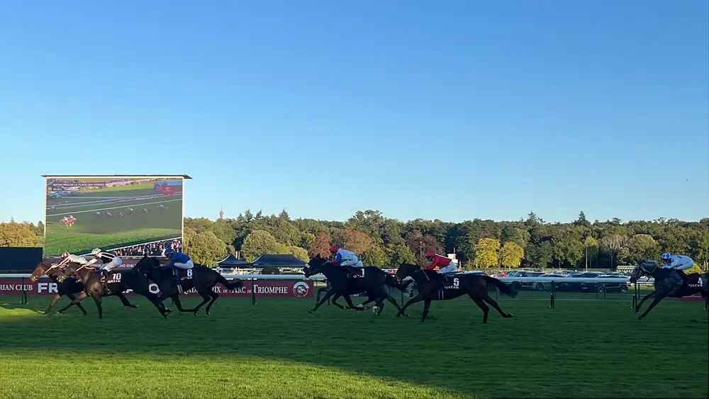 Racehorses and jockeys passing across a green track in front of a large screen.